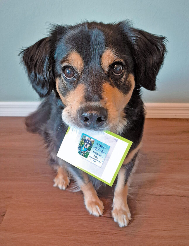 Camaraderie, classes & more: Dog Obedience Club trains canines — and owners